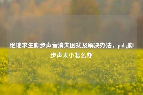 绝地求生脚步声音消失困扰及解决办法,pubg脚步声太小怎么办