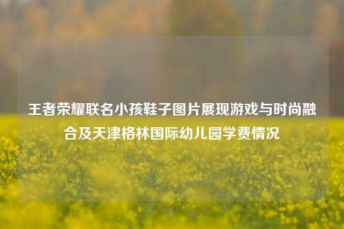 王者荣耀联名小孩鞋子图片展现游戏与时尚融合及天津格林国际幼儿园学费情况