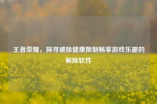 王者荣耀,探寻破除健康限制畅享游戏乐趣的解除软件