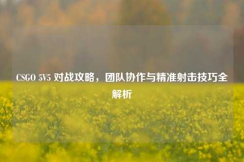 CSGO 5V5 对战攻略，团队协作与精准射击技巧全解析
