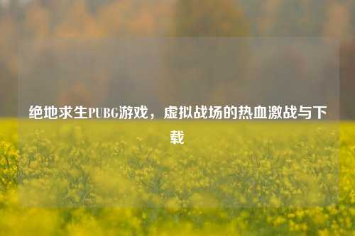 绝地求生PUBG游戏，虚拟战场的热血激战与下载