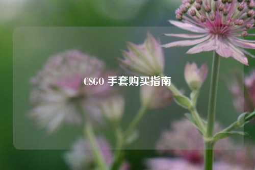 CSGO 手套购买指南