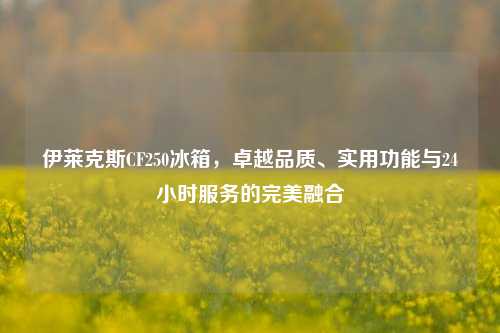 伊莱克斯CF250冰箱，卓越品质、实用功能与24小时服务的完美融合