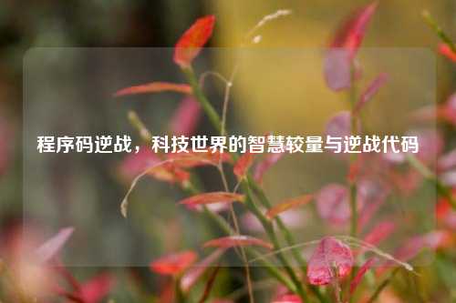程序码逆战,科技世界的智慧较量与逆战代码