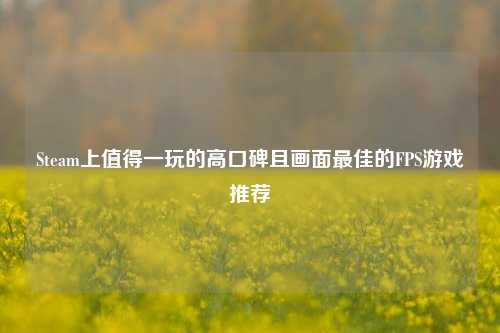 Steam上值得一玩的高口碑且画面最佳的FPS游戏推荐
