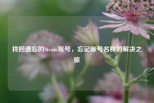 找回遗忘的Steam账号,忘记账号名称的解决之旅