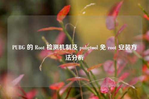PUBG 的 Root 检测机制及 pubgtool 免 root 安装方法分析