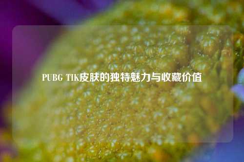 PUBG TIK皮肤的独特魅力与收藏价值