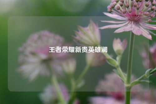 王者荣耀新贵英雄澜