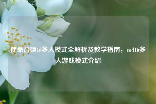 使命召唤16多人模式全解析及教学指南，cod16多人游戏模式介绍
