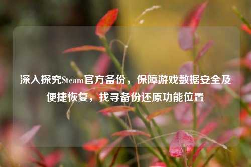 深入探究Steam官方备份，保障游戏数据安全及便捷恢复，找寻备份还原功能位置