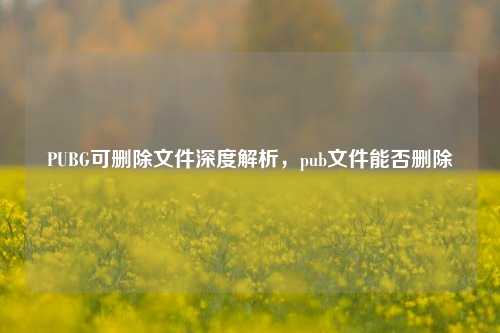 PUBG可删除文件深度解析，pub文件能否删除