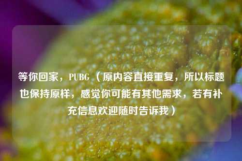 等你回家,PUBG (原内容直接重复,所以标题也保持原样,感觉你可能有其他需求,若有补充信息欢迎随时告诉我)