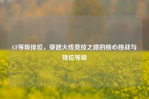 CF等级排位，穿越火线竞技之路的核心挑战与排位等级