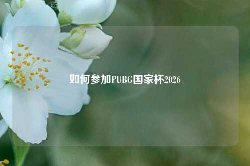 如何参加PUBG国家杯2026
