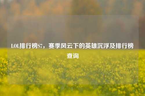 LOL排行榜S7，赛季风云下的英雄沉浮及排行榜查询