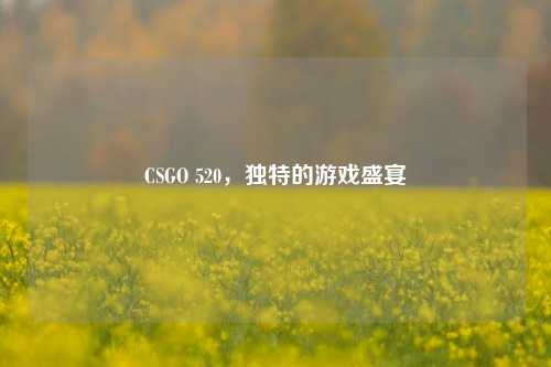 CSGO 520,独特的游戏盛宴