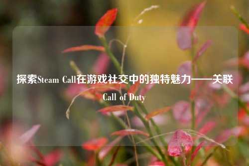 探索Steam Call在游戏社交中的独特魅力——关联Call of Duty