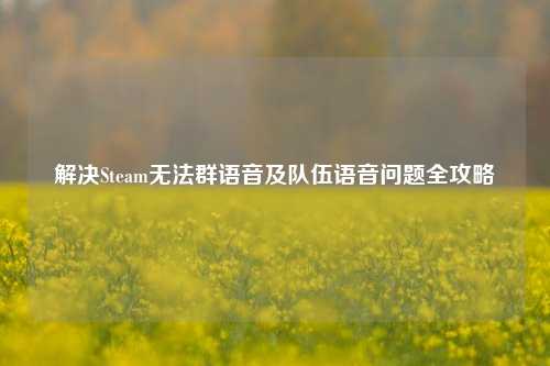 解决Steam无法群语音及队伍语音问题全攻略