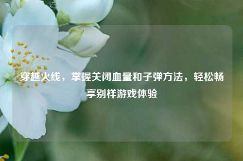 穿越火线，掌握关闭血量和子弹方法，轻松畅享别样游戏体验