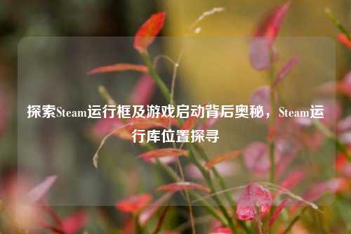 探索Steam运行框及游戏启动背后奥秘，Steam运行库位置探寻