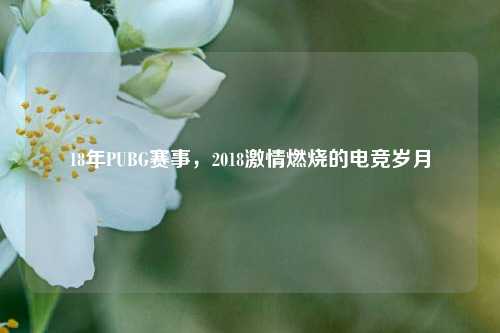18年PUBG赛事，2018激情燃烧的电竞岁月
