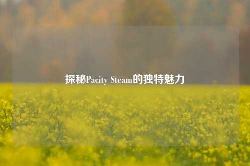 探秘Pacity Steam的独特魅力