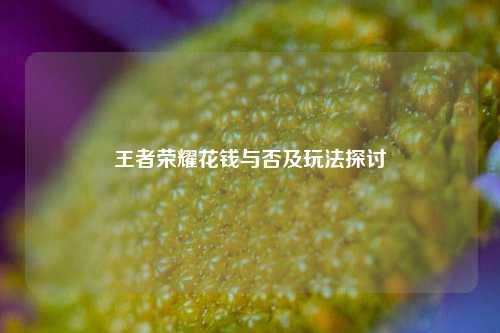 王者荣耀花钱与否及玩法探讨