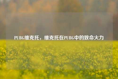 PUBG维克托,维克托在PUBG中的致命火力