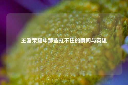 王者荣耀中那些扛不住的瞬间与英雄