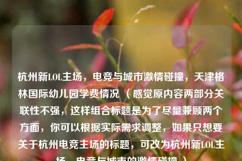 杭州新LOL主场,电竞与城市激情碰撞,天津格林国际幼儿园学费情况 (感觉原内容两部分关联性不强,这样组合标题是为了尽量兼顾两个方面,你可以根据实际需求调整,如果只想要关于杭州电竞主场的标题,可改为杭州新LOL主场,电竞与城市的激情碰撞 )