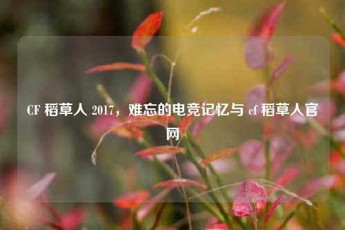 CF 稻草人 2017,难忘的电竞记忆与 cf 稻草人官网