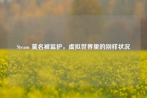 Steam 莫名被监护，虚拟世界里的别样状况