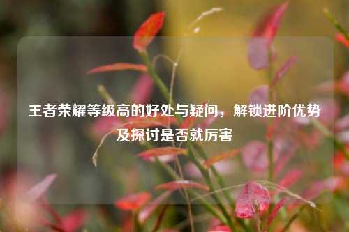 王者荣耀等级高的好处与疑问，解锁进阶优势及探讨是否就厉害