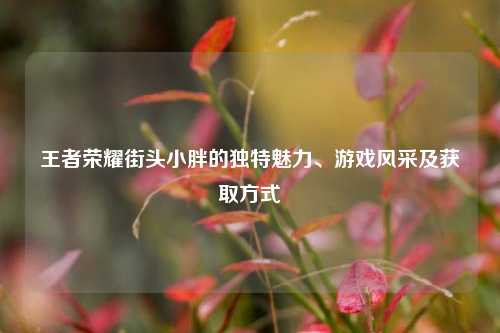 王者荣耀街头小胖的独特魅力、游戏风采及获取方式