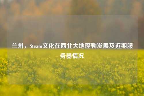 兰州，Steam文化在西北大地蓬勃发展及近期服务器情况