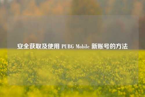 安全获取及使用 PUBG Mobile 新账号的方法