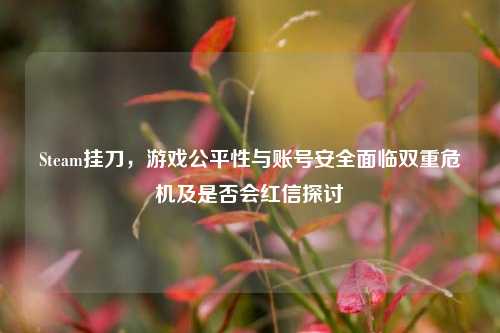 Steam挂刀，游戏公平性与账号安全面临双重危机及是否会红信探讨