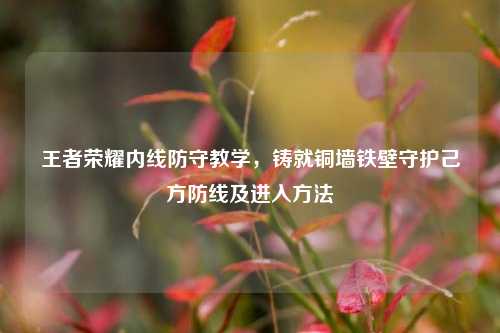 王者荣耀内线防守教学,铸就铜墙铁壁守护己方防线及进入方法