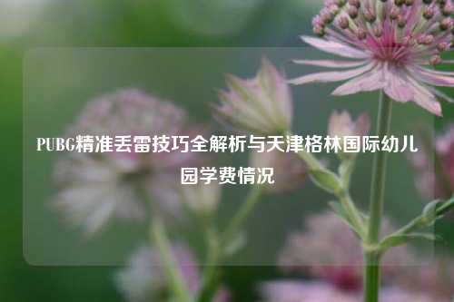 PUBG精准丢雷技巧全解析与天津格林国际幼儿园学费情况