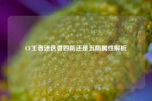 CF王者迷迭香四防还是五防属性解析