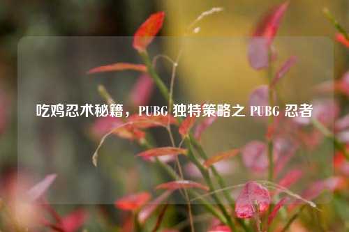 吃鸡忍术秘籍,PUBG 独特策略之 PUBG 忍者