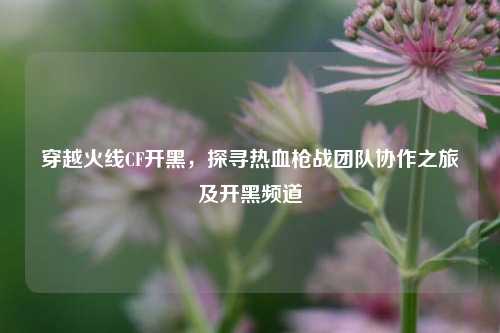 穿越火线CF开黑，探寻热血枪战团队协作之旅及开黑频道