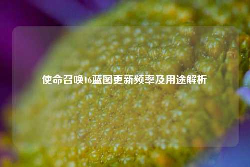 使命召唤16蓝图更新频率及用途解析