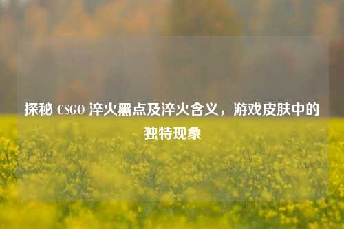 探秘 CSGO 淬火黑点及淬火含义,游戏皮肤中的独特现象