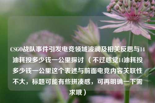 CSGO战队事件引发电竞领域波澜及相关反思与14油耗投多少钱一公里探讨 （不过感觉14油耗投多少钱一公里这个表述与前面电竞内容关联性不大，标题可能有些拼凑感，可再明确一下需求哦）