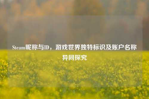 Steam昵称与ID，游戏世界独特标识及账户名称异同探究