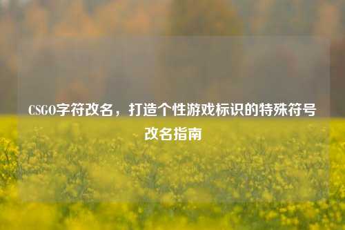 CSGO字符改名,打造个性游戏标识的特殊符号改名指南