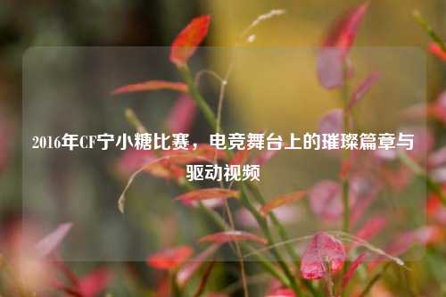 2016年CF宁小糖比赛，电竞舞台上的璀璨篇章与驱动视频