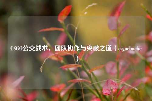 CSGO公交战术，团队协作与突破之道（csgochache）